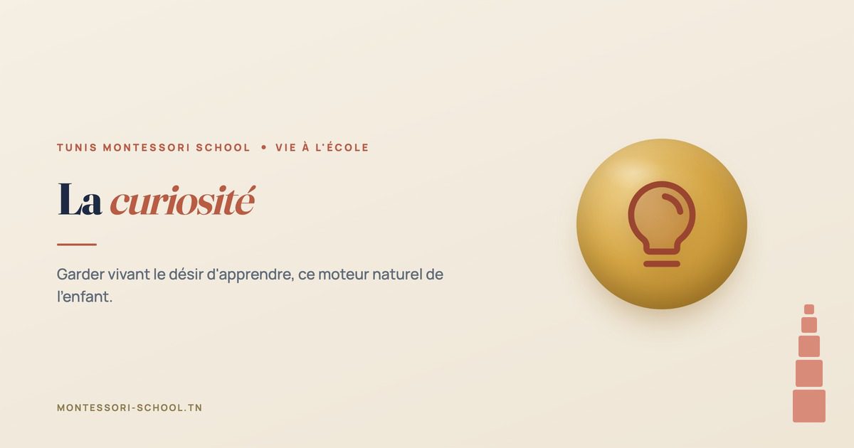 La curiosité — Tunis Montessori School